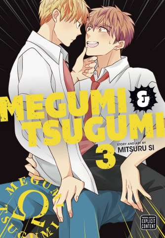 Megumi & Tsugumi Vol. 3