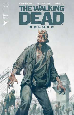 The Walking Dead Deluxe #34 (Tedesco Cover)