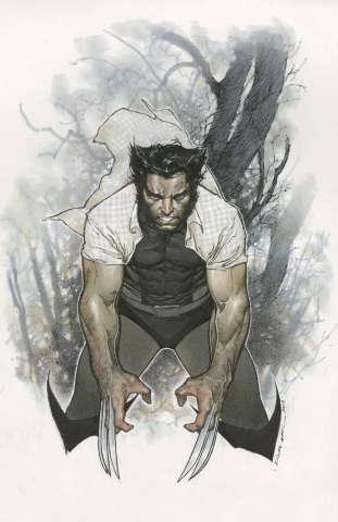 Wolverine #1 (Coipel Cover)