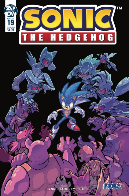 Sonic the Hedgehog #19 (Wells & Graham Cover)