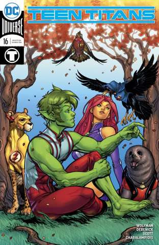 Teen Titans #16 (Variant Cover)