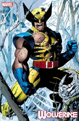 Wolverine #1 (Jim Lee Hidden Gem Cover)