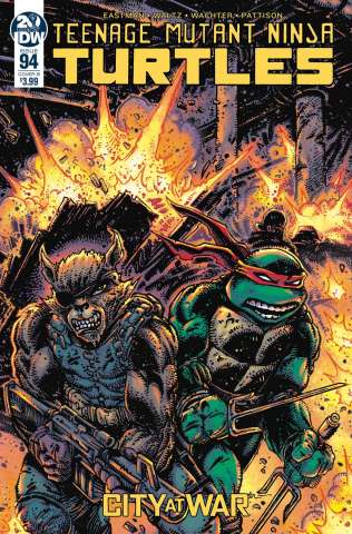 Teenage Mutant Ninja Turtles #94 (Eastman Cover)