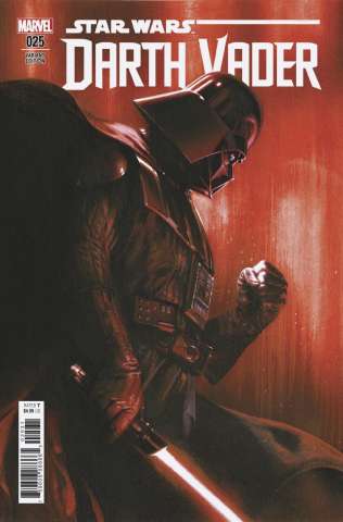 Star Wars: Darth Vader #25 (Dell'Otto Cover)