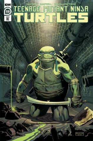 Teenage Mutant Ninja Turtles #118 (10 Copy Karl Johnsson Cover)