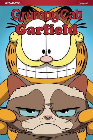 Grumpy Cat / Garfield
