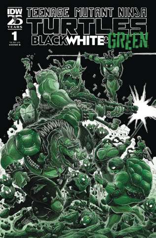 Teenage Mutant Ninja Turtles: Black, White & Green #1 (Stokoe Cover)
