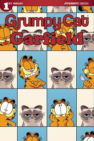 Grumpy Cat / Garfield #1 (Hirsch Cover)