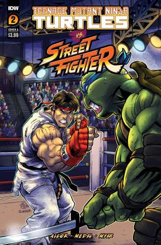 Teenage Mutant Ninja Turtles vs. Street Fighter #2 (Medel Cover)