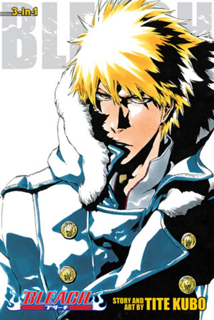 Bleach Vol. 17 (3-in-1 Edition)