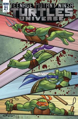 Teenage Mutant Ninja Turtles Universe #21 (10 Copy Cover)