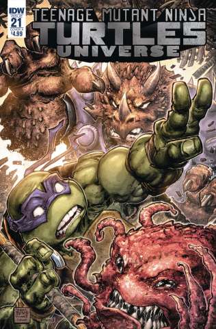 Teenage Mutant Ninja Turtles Universe #21 (Williams II Cover)