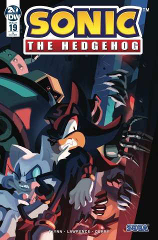 Sonic the Hedgehog #19 (10 Copy Fourdraine Cover)