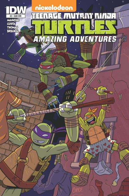 Teenage Mutant Ninja Turtles: Amazing Adventures #3 (Subscription Cover)