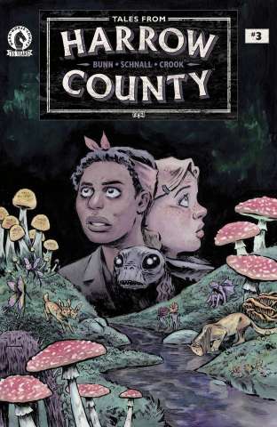 Tales From Harrow County: The Fair Folk #3 (Schnall Cover)