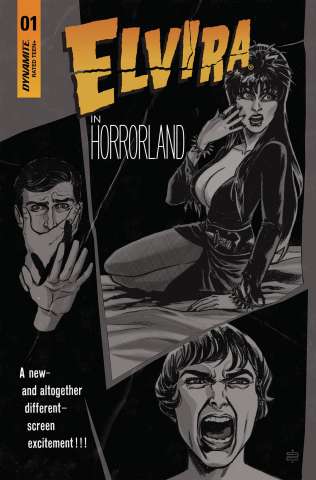 Elvira in Horrorland #1 (30 Copy Califano B&W Cover)