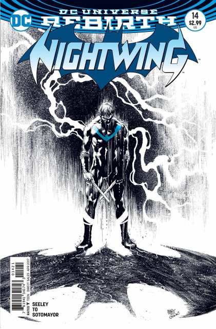 Nightwing #14 (Variant Cover)