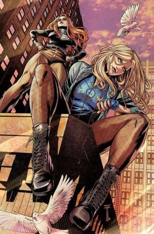 Birds of Prey #18 (Serg Acuna Card Stock Cover)