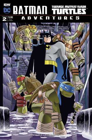 Batman / Teenage Mutant Ninja Turtles Adventures #2 (Subscription Cover)