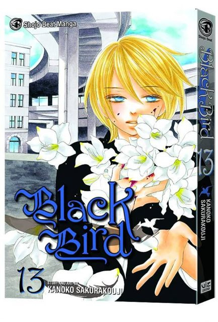 Black Bird Vol. 13