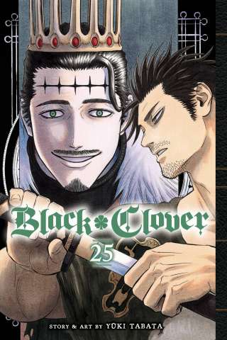 Black Clover Vol. 25