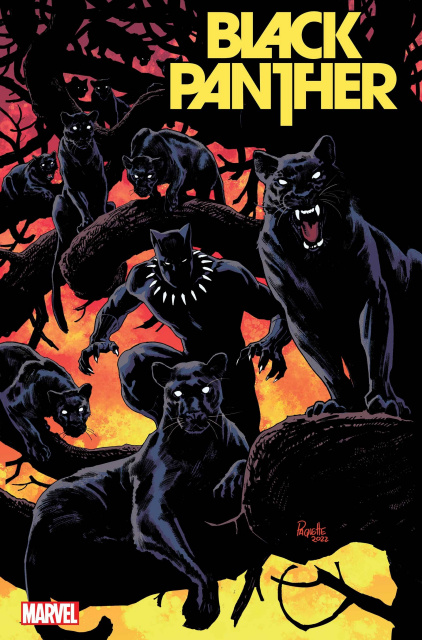 Black Panther #8 (Paquette Cover)