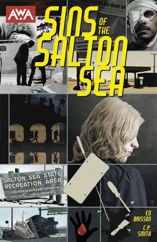 Sins of the Salton Sea #3 (Bradstreet Cover)
