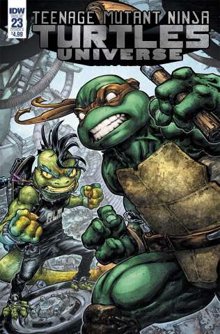 Teenage Mutant Ninja Turtles Universe #23 (Williams II Cover)