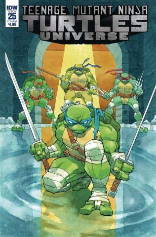 Teenage Mutant Ninja Turtles Universe #25 (Daniel Cover)