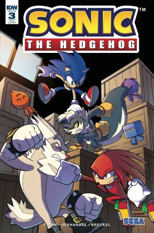 Sonic the Hedgehog #3 (25 Copy Cover)