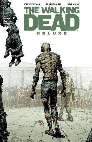 The Walking Dead Deluxe #20 (Finch & McCaig Cover)