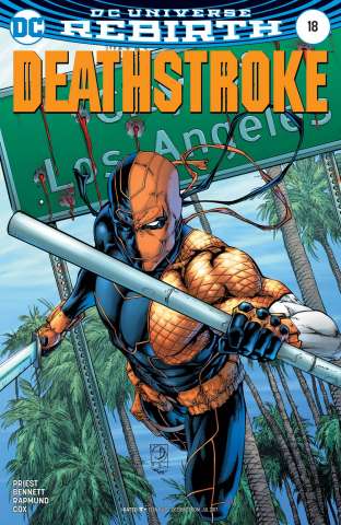 Deathstroke #18 (Variant Cover)