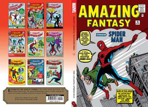 The Amazing Spider-Man: With Great Power... (Marvel Masterworks)