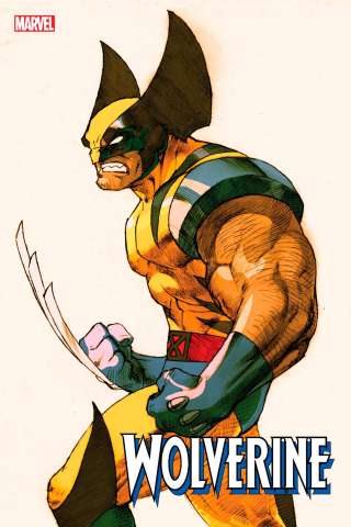 Wolverine #4 (Bengus Marvel vs. Capcom Cover)