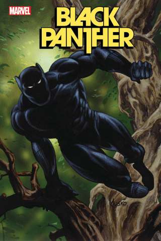 Black Panther #3 (Jusko Marvel Masterpieces Cover)