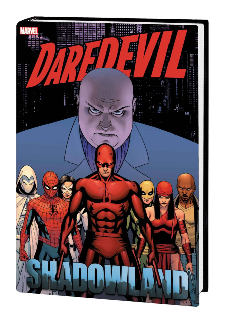 Daredevil: Shadowland (Omnibus Cassaday Cover)