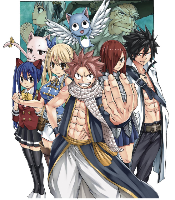 Fairy Tail: 100 Years Quest Vol. 8