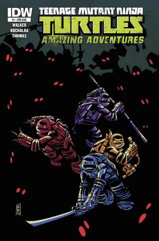 Teenage Mutant Ninja Turtles: Amazing Adventures #1 (Subscription Cover)