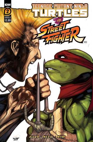 Teenage Mutant Ninja Turtles vs. Street Fighter #2 (Sanchez Cover)