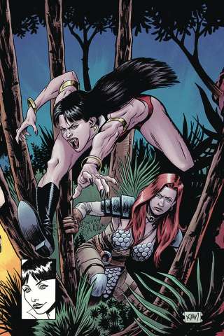 Vampirella / Red Sonja #8 (Gorham Virgin Homage Cover)
