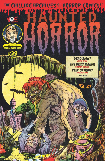 Haunted Horror #29