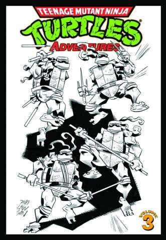 Teenage Mutant Ninja Turtles Adventures Vol. 3