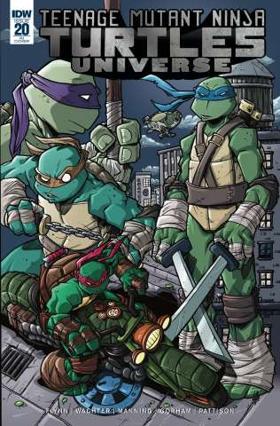 Teenage Mutant Ninja Turtles Universe #20 (10 Copy Cover)