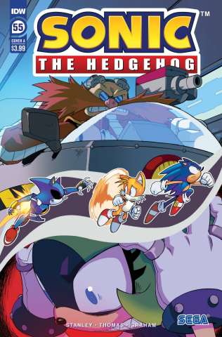 Sonic the Hedgehog #55 (Hammerstrom Cover)