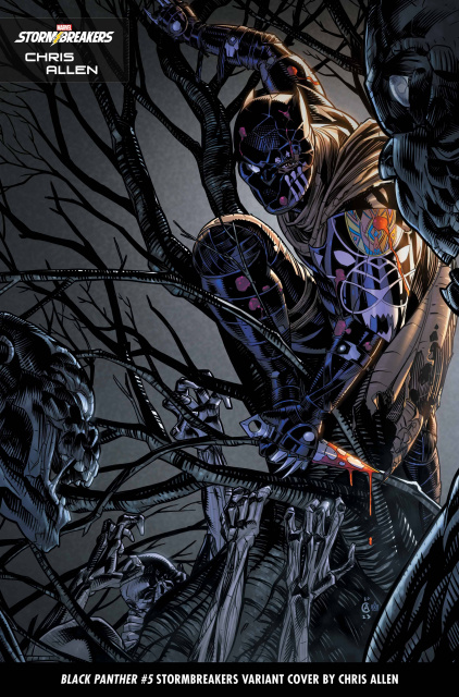 Black Panther #5 (Chris Allen Stormbreakers Cover)