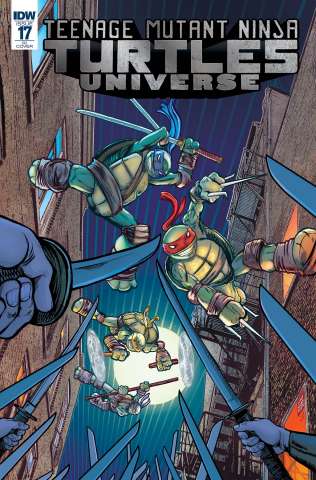 Teenage Mutant Ninja Turtles Universe #17 (10 Copy Cover)