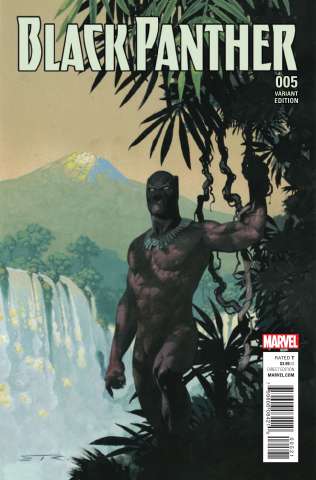 Black Panther #5 (Ribic Connecting Cover)