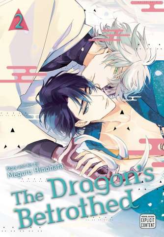 The Dragon's Betrothed Vol. 2