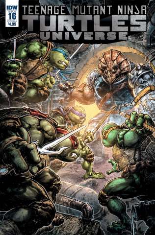 Teenage Mutant Ninja Turtles Universe #16 (Williams II Cover)
