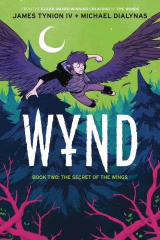 Wynd Book 2: Secret of the Wings